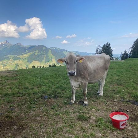 Wies Stein  Buitenkant foto
