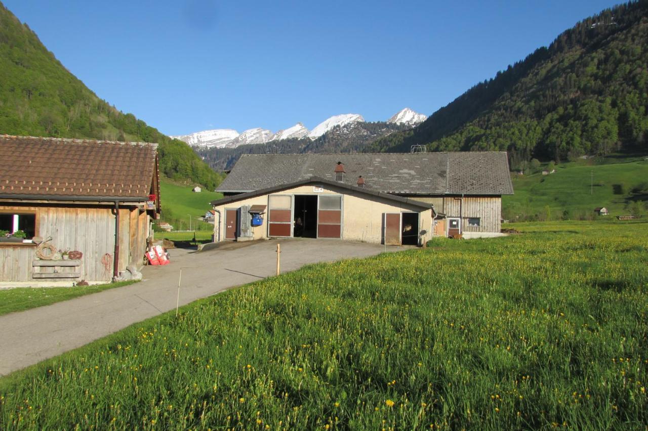 Wies Stein  Buitenkant foto